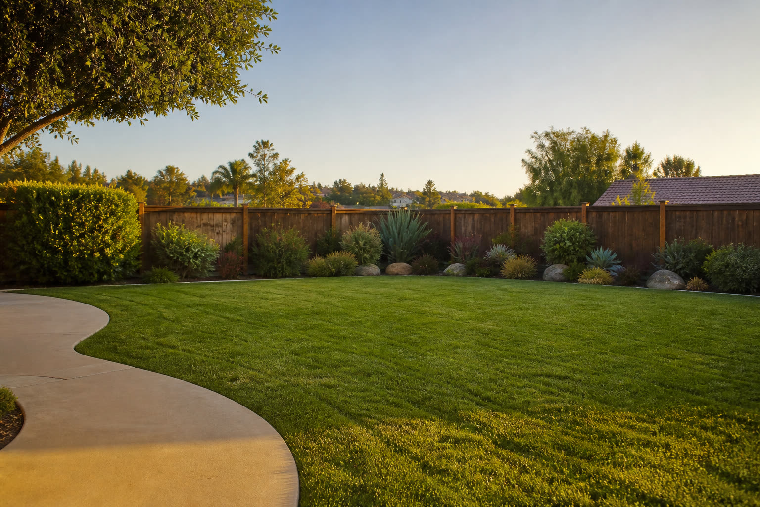 Suburban backyard